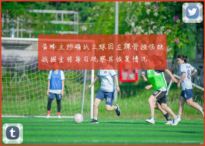 黄蜂主帅确认三球因左踝骨挫伤缺战掘金将每日观察其恢复情况