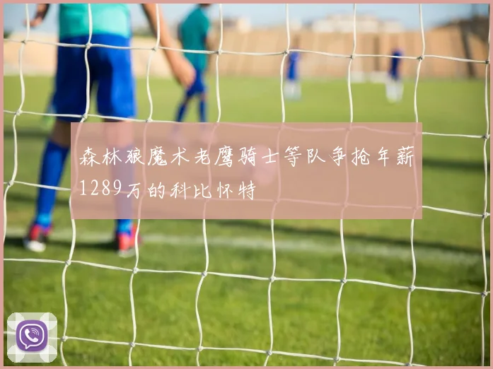 森林狼魔术老鹰骑士等队争抢年薪1289万的科比怀特