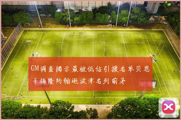 GM调查揭示最被低估引援名单贝恩卡梅隆约翰逊波津名列前茅