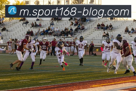 168体育平台生态图